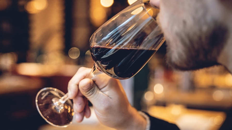 como escolher e harmonizar vinhos para cada tipo de ocasião